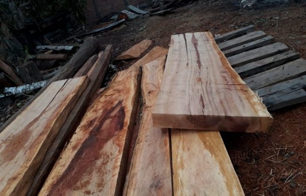 13 ÚNIC -20- Cadeirante do Pontal - FOTO arquivo pessoal - Divulgação