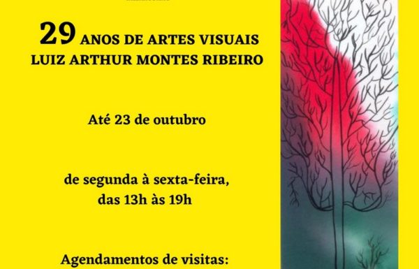 Instituto Montes Ribeiro celebra 10 anos neste mes de outubro