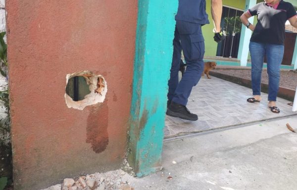 Bombeiros de Itapoa resgatam cao de tubulacao em residencia no Samambaial 1