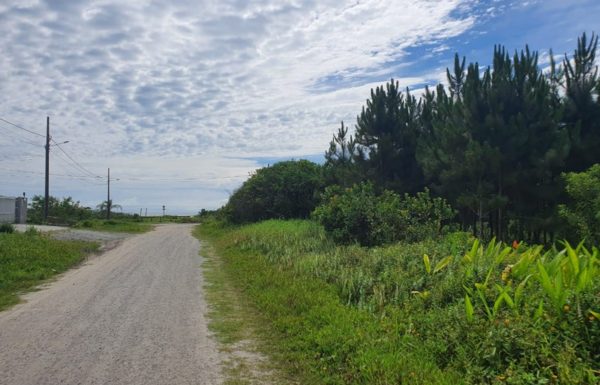 Policia investiga tentativa venda ilegal de terrenos em Itapoa