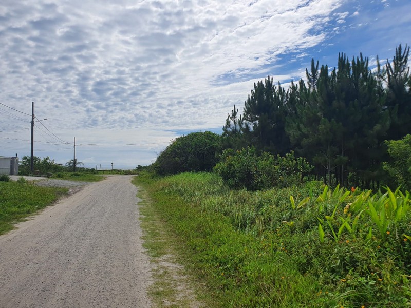 Policia investiga tentativa venda ilegal de terrenos em Itapoa