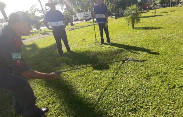 Bombeiros resgatam jacare em praca no Centro de Garuva_02