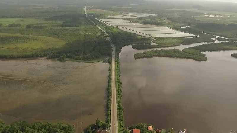 Canal do Linguado - Grupo Pro-Babitonga - Reproducao