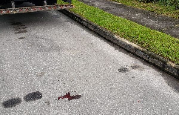 adolescente fica gravemente ferida apos ser atropelada no centro de garuva_04