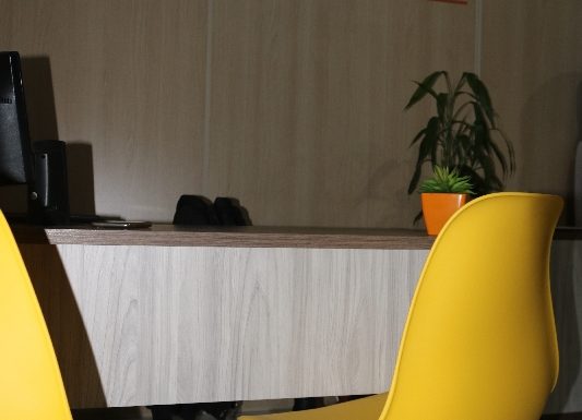 Inauguracao do Instituto Ertus de Itapoa_21