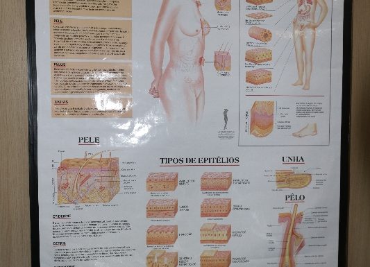 Inauguracao do Instituto Ertus de Itapoa_23