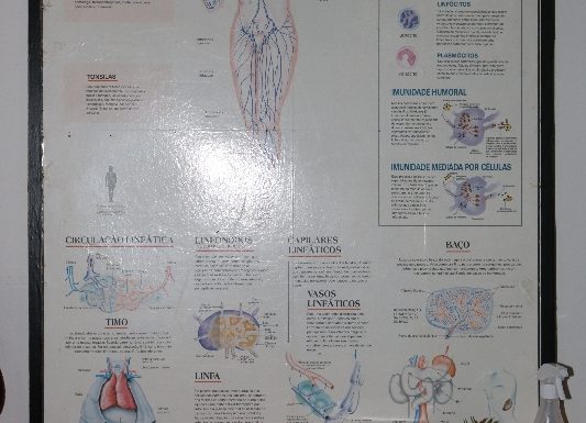 Inauguracao do Instituto Ertus de Itapoa_30