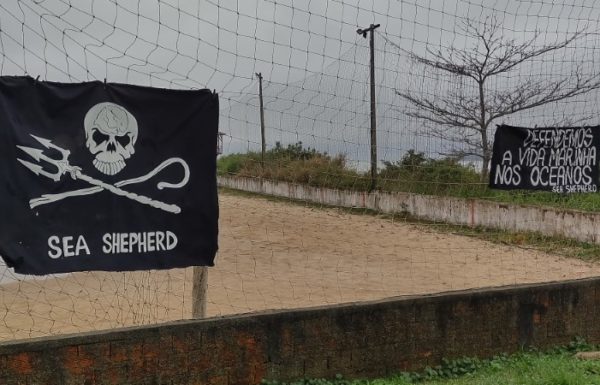 Voluntarios realizam mutirao de limpeza da orla em Itapoa no World Cleanup Day 03 (Tribuna de Itapoa)