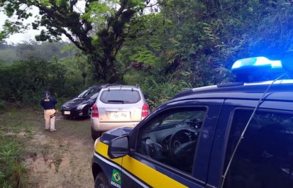PRF descobre esconderijo de carros roubados e recupera tres veiculos na BR 101 em Garuva 4