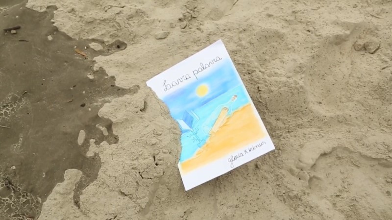 Videos abordam serie de oficinas do Projeto Lavra Palavras em Itapoa 3 (Tribuna de Itapoa)