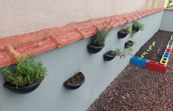 AMA Itapoa inaugura seu novo espaco Jardim Sensorial e Horta Educativa 16 (Tribuna de Itapoa)