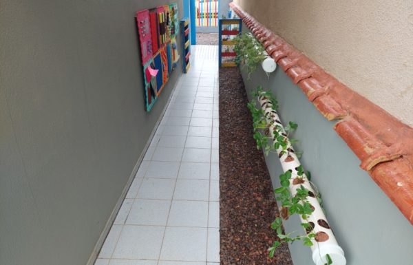 AMA Itapoa inaugura seu novo espaco Jardim Sensorial e Horta Educativa 24 (Tribuna de Itapoa)