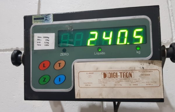 Receita Federal apreende 240 kg de cocaina no Porto de Itapoa (SC) 2 (Tribuna de Itapoa)