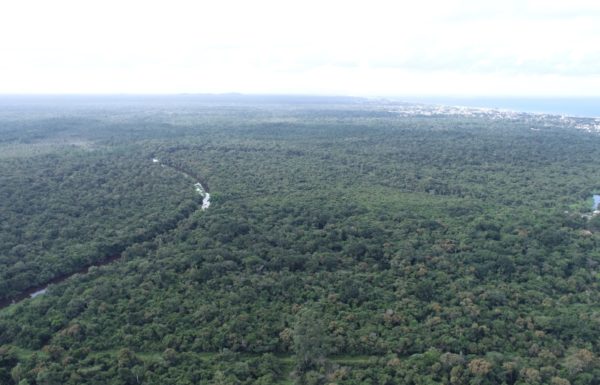 Secretaria de Meio Ambiente avanca em processo de estruturacao do Parque Municipal Carijos 1 (Tribuna de Itapoa)
