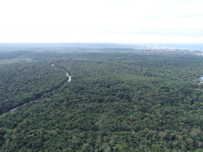 Secretaria de Meio Ambiente avanca em processo de estruturacao do Parque Municipal Carijos 1 (Tribuna de Itapoa)