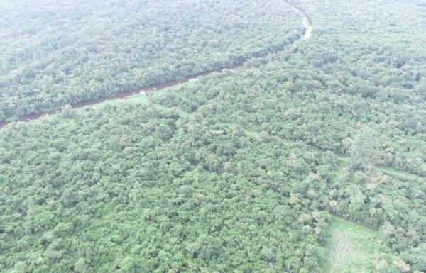 Secretaria de Meio Ambiente avanca em processo de estruturacao do Parque Municipal Carijos 2 (Tribuna de Itapoa)