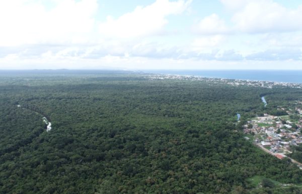 Secretaria de Meio Ambiente avanca em processo de estruturacao do Parque Municipal Carijos 3 (Tribuna de Itapoa)