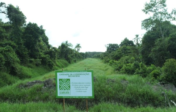 Secretaria de Meio Ambiente avanca em processo de estruturacao do Parque Municipal Carijos 4 (Tribuna de Itapoa)