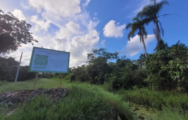 Secretaria de Meio Ambiente avanca em processo de estruturacao do Parque Municipal Carijos 6 (Tribuna de Itapoa)