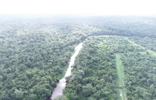 Porto Itapoa vai investir mais de 600 mil no Parque Natural Municipal Carijos 2 (Tribuna de Itapoa)