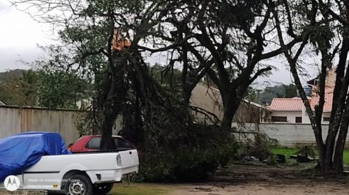 Ciclone atinge Itapoa e Prefeitura decreta estado de emergência 28 (Tribuna de Itapoa)