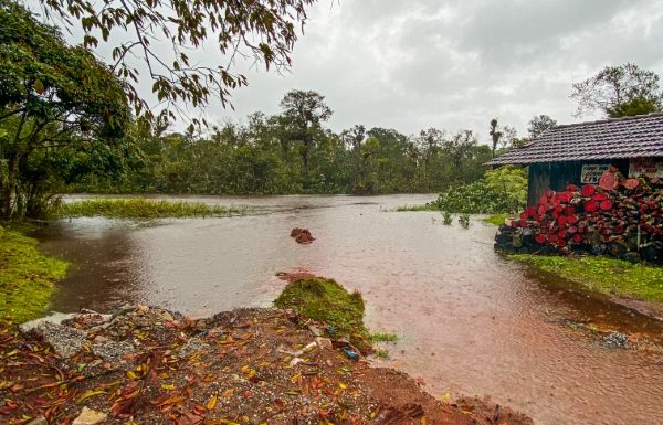 Prefeitura de Itapoa decreta estado de emergencia devido ao ciclone que atingiu a regiao 07 (Tribuna de Itapoa)