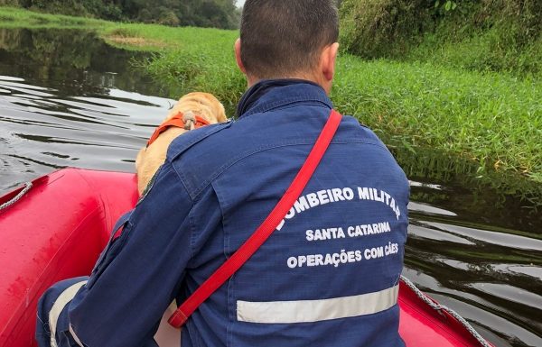 Bombeiros realizam buscas por motorista de aplicativo cujo carro foi localizado em Itapoa 1 (Tribuna de Itapoa)