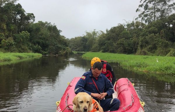 Bombeiros realizam buscas por motorista de aplicativo cujo carro foi localizado em Itapoa 2 (Tribuna de Itapoa)