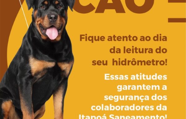 itapo saneamento - cao 12_5x16 (Tribuna de Itapoa)