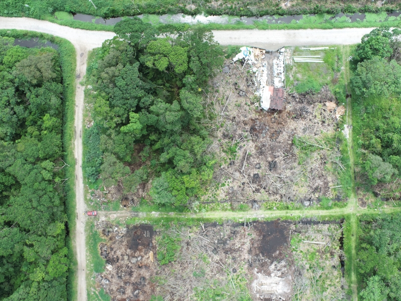 Fiscalizacao aponta supressao vegetal irregular e revela invasao de terrenos em Itapoa 2 (Tribuna de Itapoa)