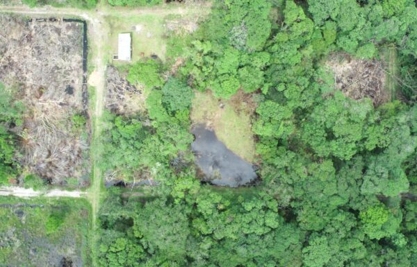 Fiscalizacao aponta supressao vegetal irregular e revela invasao de terrenos em Itapoa 3 (Tribuna de Itapoa)