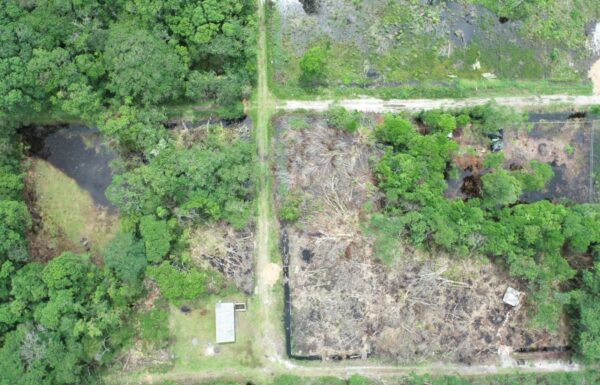 Fiscalizacao aponta supressao vegetal irregular e revela invasao de terrenos em Itapoa 4 (Tribuna de Itapoa)