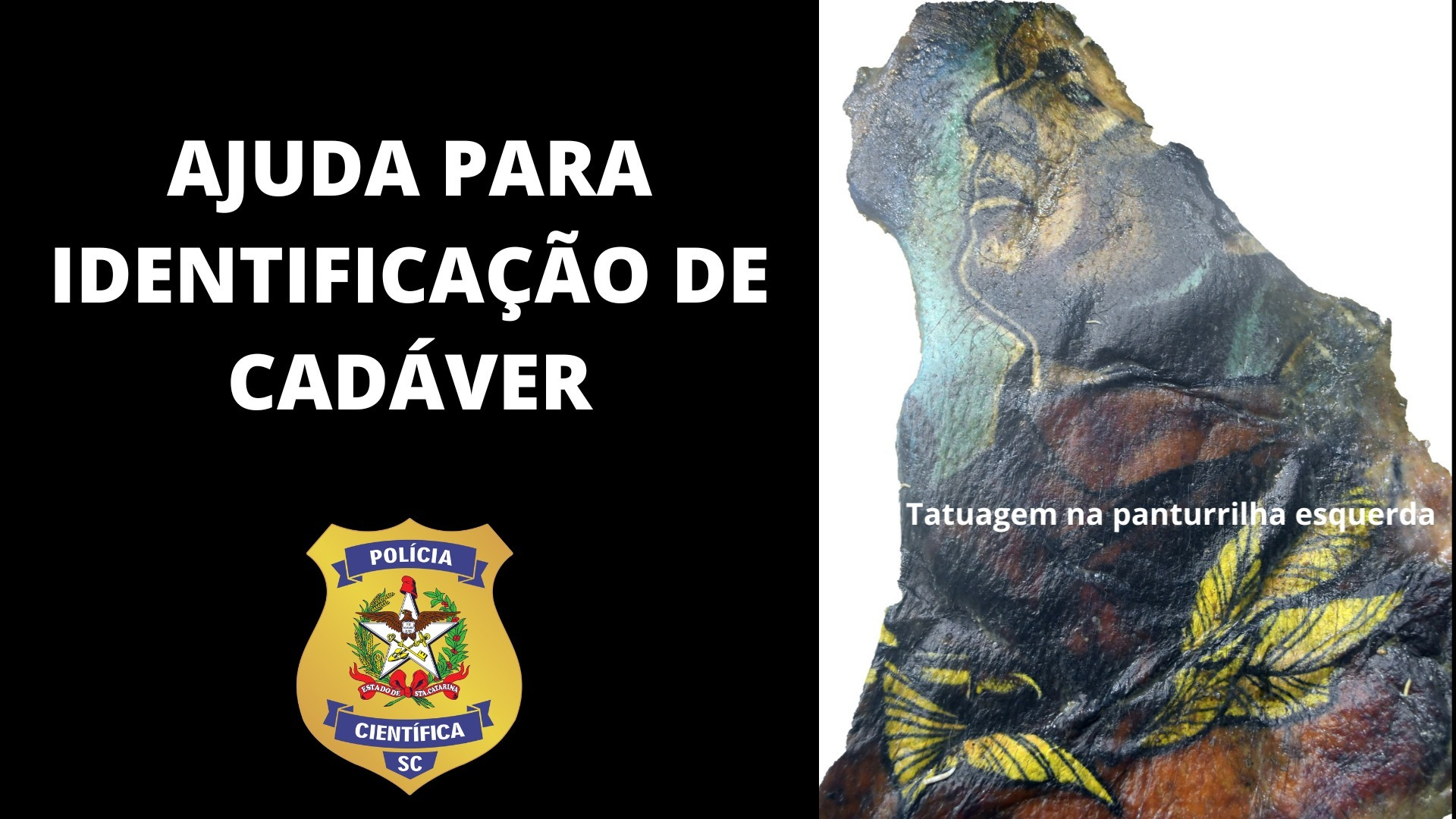 Policia Cientifica pede ajuda para identificar corpo encontrado em Itapoa 3