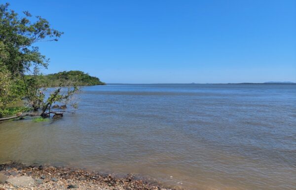 Ponte da Vigorelli entre Vila da Gloria e Joinville tera estudo de viabilidade 01 (Tribuna de Itapoa)