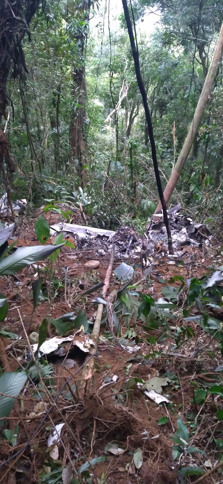 Avião cai em Itapoa, divisa com Garuva, matando empresario e piloto 2