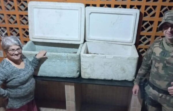 Policia Ambiental apreende camarao, redes de pesca ilegal, e resgata tartarugas em Itapoa 01