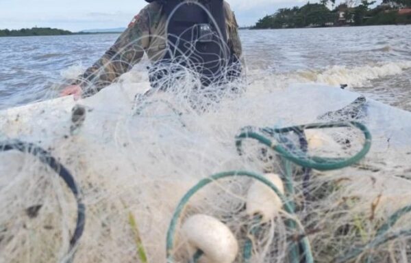 Policia Ambiental apreende camarao, redes de pesca ilegal, e resgata tartarugas em Itapoa 02