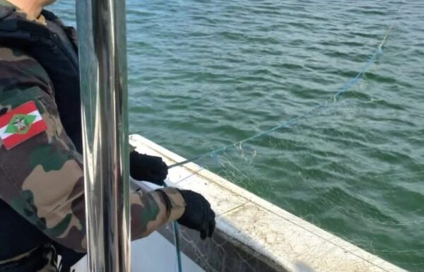 Policia Ambiental apreende camarao, redes de pesca ilegal, e resgata tartarugas em Itapoa 03