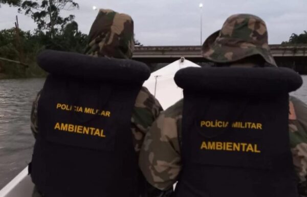 Policia Ambiental apreende camarao, redes de pesca ilegal, e resgata tartarugas em Itapoa 04