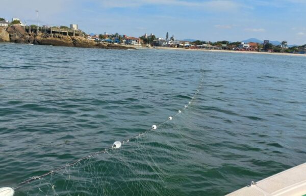 Policia Ambiental apreende camarao, redes de pesca ilegal, e resgata tartarugas em Itapoa 05