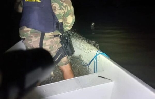 Policia Ambiental apreende camarao, redes de pesca ilegal, e resgata tartarugas em Itapoa 06