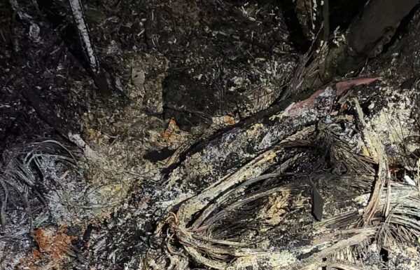 Corpo carbonizado encontrado pela policia no balneario Rainha