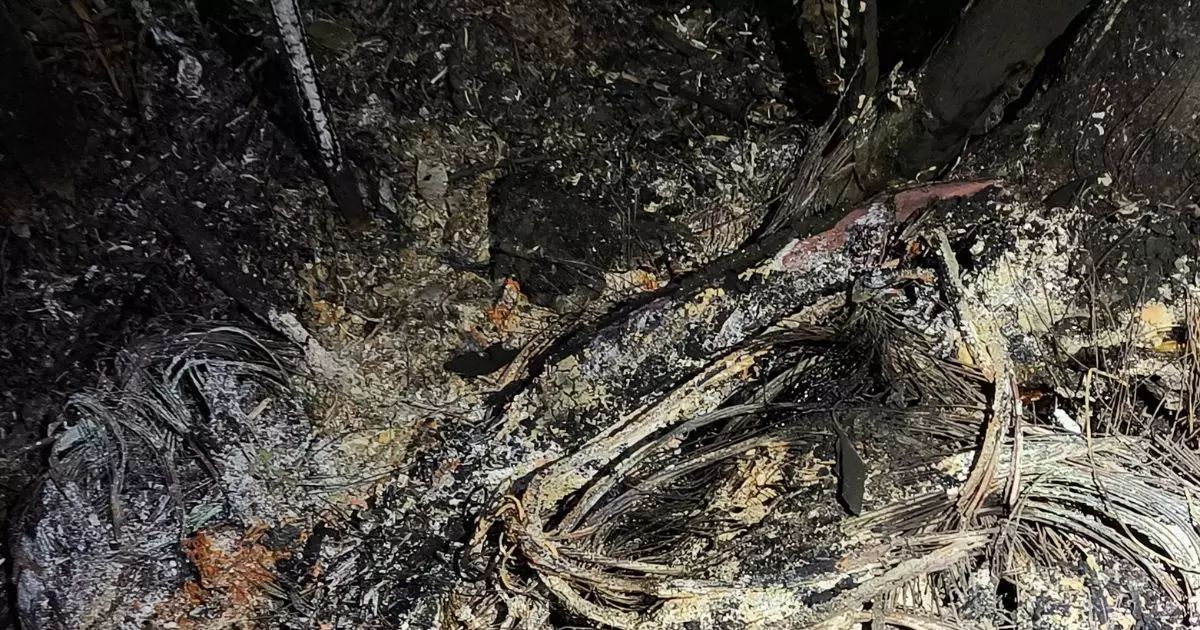 Corpo carbonizado encontrado pela policia no balneario Rainha