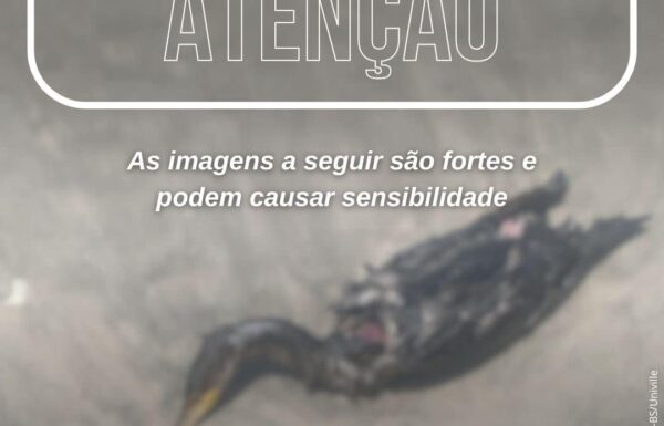 Projeto de Monitoramento de Praias alerta Itapoa contra maus tratos a aves 03