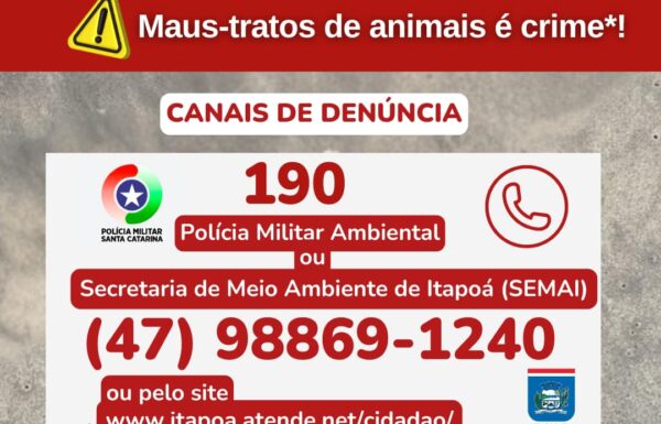 Projeto de Monitoramento de Praias alerta Itapoa contra maus tratos a aves 05