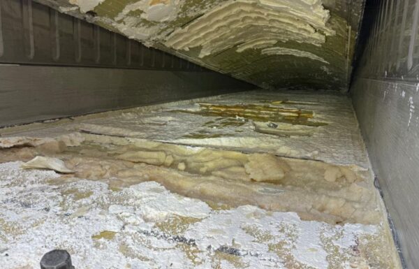 Receita Federal apreende quase meia tonelada de cocaina em carga de laranjas no Porto 1