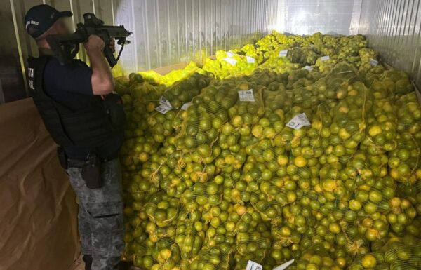 Receita Federal apreende quase meia tonelada de cocaina em carga de laranjas no Porto 2