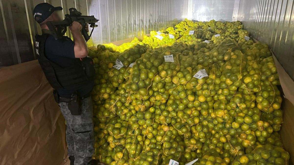 Receita Federal apreende quase meia tonelada de cocaina em carga de laranjas no Porto 2