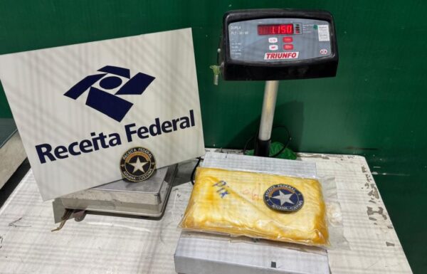 Receita Federal apreende quase meia tonelada de cocaina em carga de laranjas no Porto 4