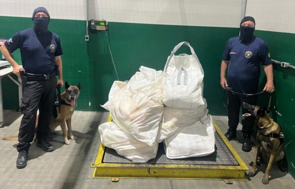 Receita Federal apreende quase meia tonelada de cocaina em carga de laranjas no Porto 5